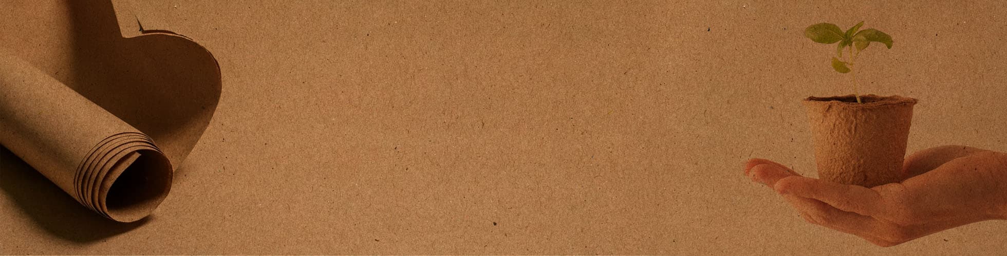 Emballage écologique durable et recyclable